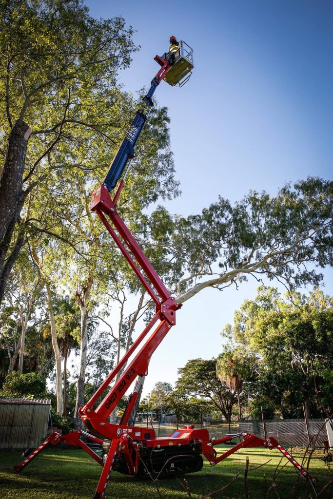 tree lopping townsville